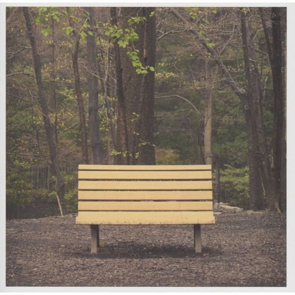 Streetlight Manifesto - The Hands That Thieve  LP LP